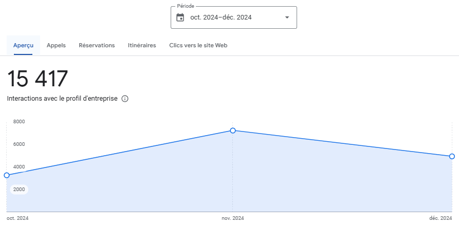 Apercu performances - Google My Business