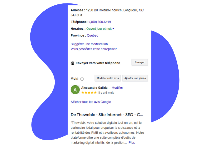 Informations clés fiche google The Webix